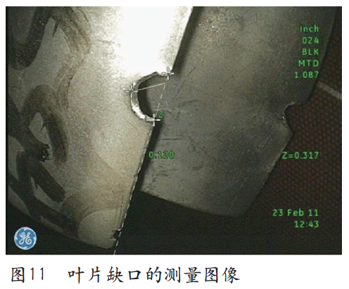 葉片缺口的測量圖像 葉片缺口的測量圖像